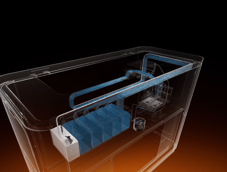Auto Maintenance System